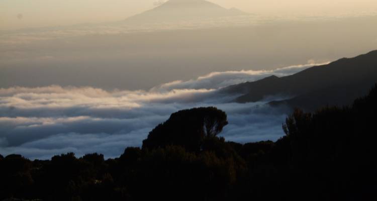 Ascensión a la ruta Umbwe del Kilimanjaro - Opciones privadas disponibles - Nomadic Adventures 3