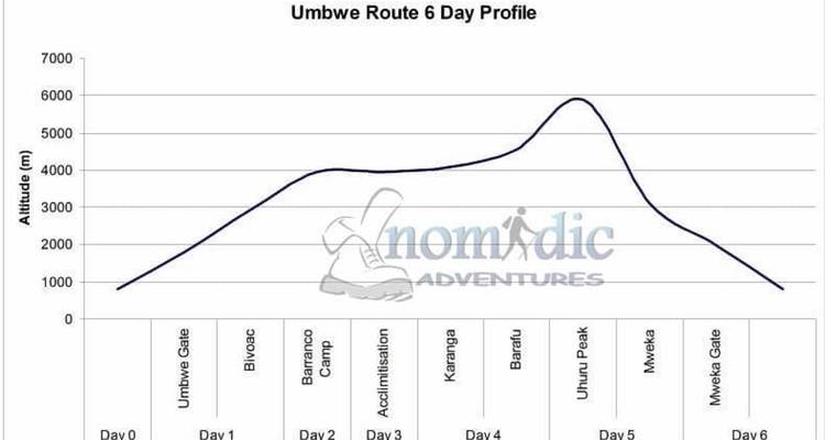 Ascensión a la ruta Umbwe del Kilimanjaro - Opciones privadas disponibles - Nomadic Adventures 7