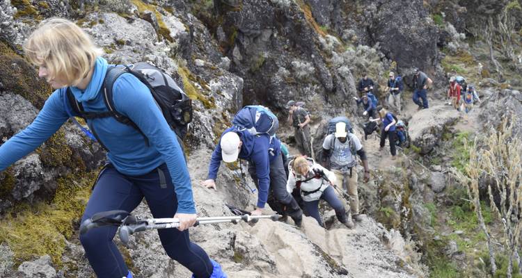 Ascension du Kilimandjaro par la route Machame 7 jours 6 nuits - Migration Venture Africa  9
