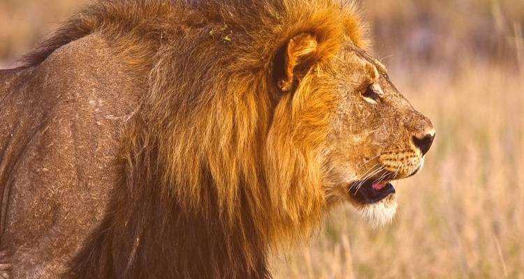 African  Safari Adventure in Namibia - 11 Days - Junita's Extreme Adventures Namibia cc 6
