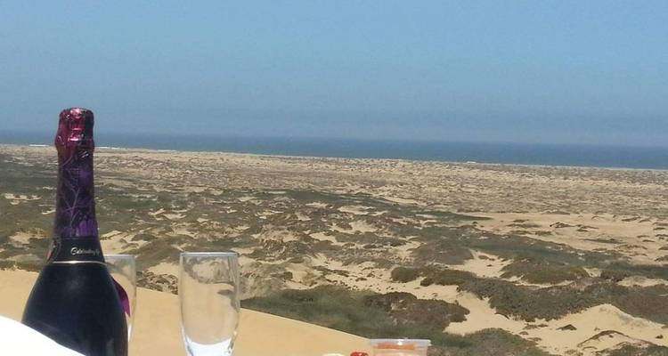 Wüstenlandschaft mit Sanddünen und Ozean im Hintergrund.