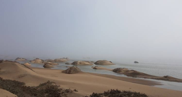 Sanddünen und neblige Küste.