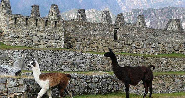 Le meilleur du Pérou et de la Bolivie : Lima, Cusco, la Vallée Sacrée, Machupicchu, la Paz, les Paines d'Uyuni et toutes les lagunes
 - Peru Trek 4 Good 4