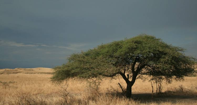 Un Rwanda remarquable - Crooked Compass 4