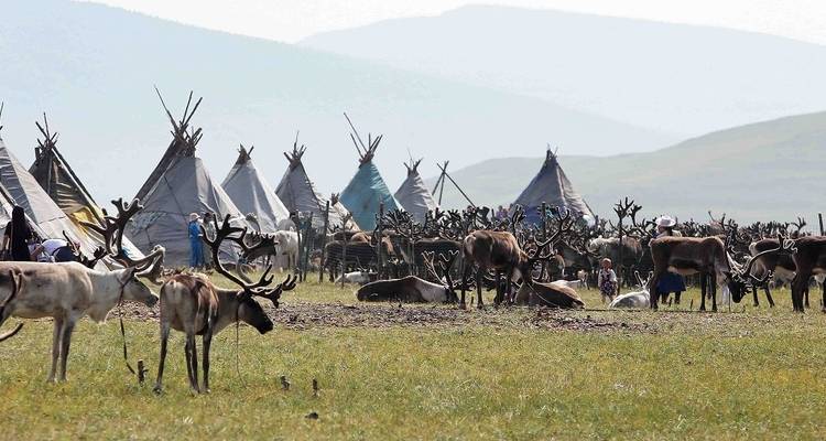Reindeer Tribes of Mongolia - Crooked Compass 2
