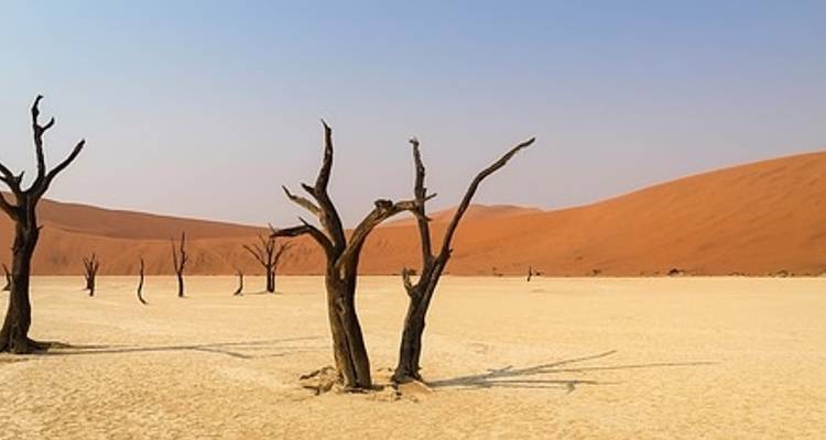 Raw Namibia - Crooked Compass 7
