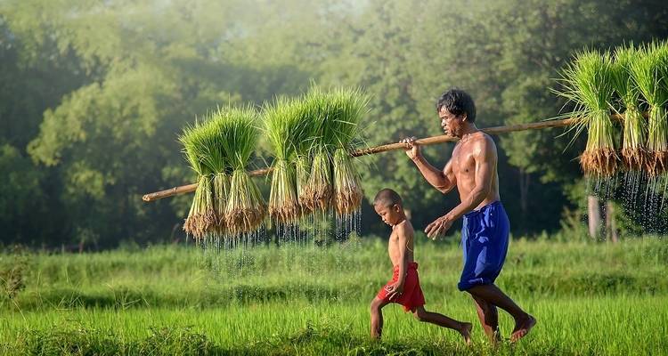 Laos and Cambodia Discoverer - Crooked Compass 1
