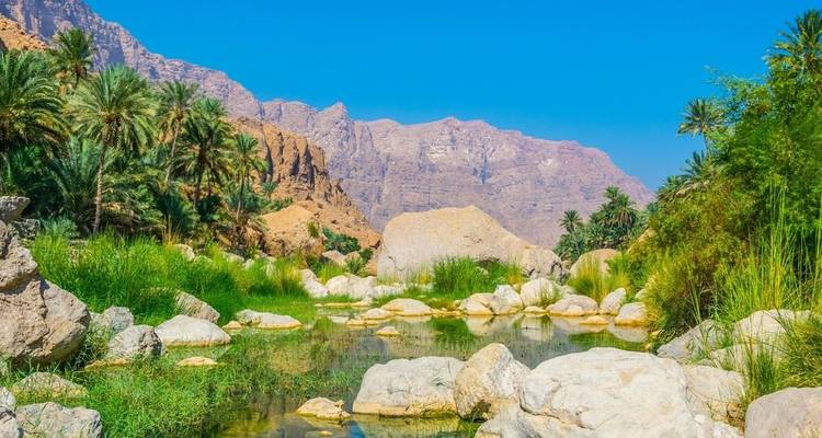 Oasis exuberante con palmeras, piscinas cristalinas y montañas desérticas escarpadas bajo un cielo azul brillante.