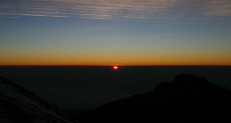 Ascension du Kilimandjaro - Route de Lemosho 7 jours 6 nuits - Migration Venture Africa  8