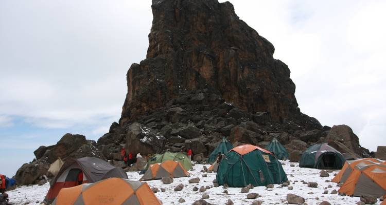 Ascension du Kilimandjaro - Route de Lemosho 7 jours 6 nuits - Migration Venture Africa  10