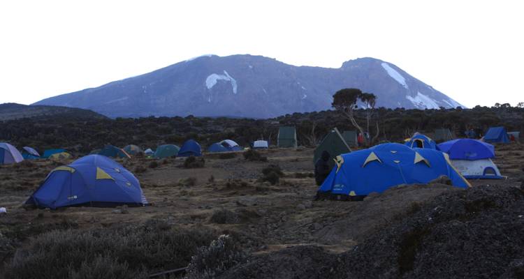 Ascension du Kilimandjaro - Route de Lemosho 7 jours 6 nuits - Migration Venture Africa  4