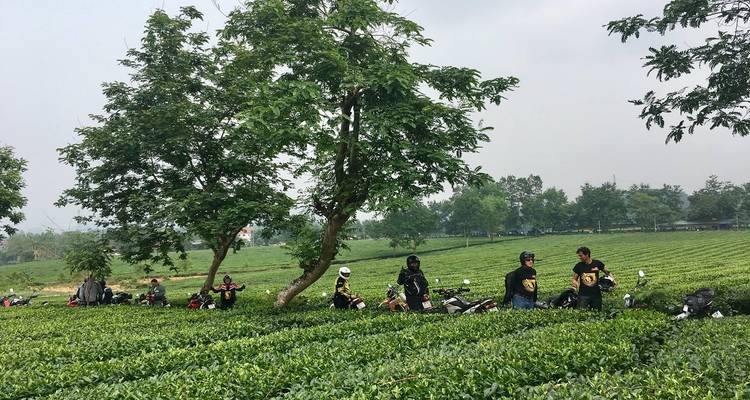 Best Selling Vietnam Motorbike Tour to Sapa via Mu Cang Chai from Hanoi - DNQ Travel 7