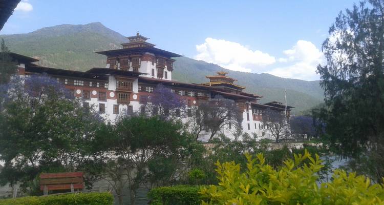 Trek sur le sentier Druk avec circuit culturel - 10 jours - Adventure Himalayan Travels 9