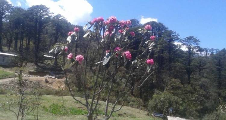 Trek sur le sentier Druk avec circuit culturel - 10 jours - Adventure Himalayan Travels 1