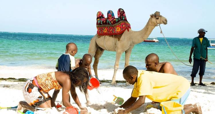 4 Days Kenya Beach Safari - Shells of Africa Safaris 6