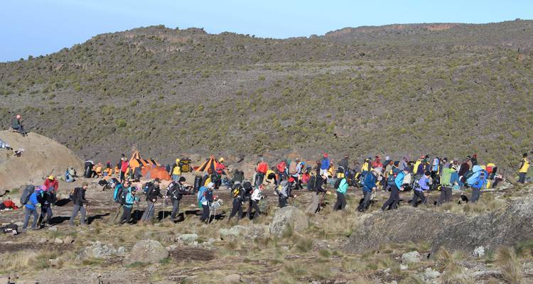 Ascension du Kilimandjaro - Route de Rongai 6 jours 5 nuits - Migration Venture Africa  10