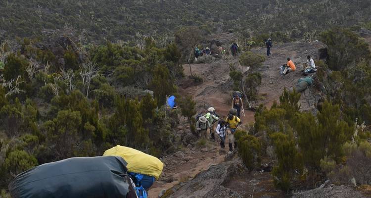 Kilimanjaro Climb-Rongai Route  6 Days 5 Nights - Migration Venture Africa  4