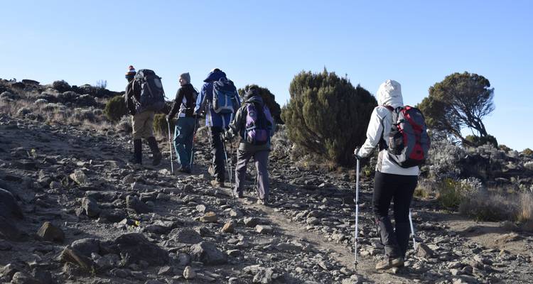 Kilimanjaro Climb-Rongai Route  6 Days 5 Nights - Migration Venture Africa  7