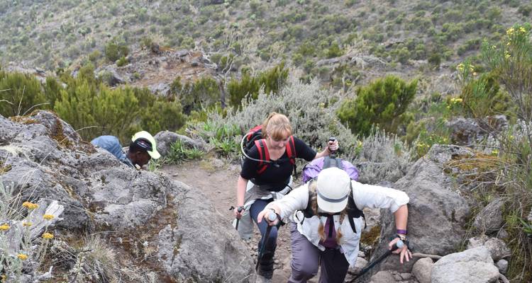 Kilimanjaro Climb-Rongai Route  6 Days 5 Nights - Migration Venture Africa  8