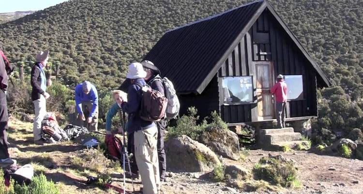 Ascension du Kilimandjaro - Route de Marangu 5 jours 4 nuits - Migration Venture Africa  4