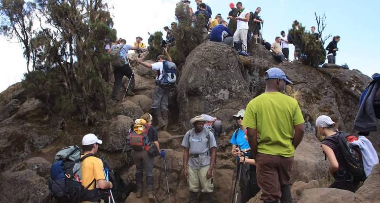 Ascension du Kilimandjaro - Route de Marangu 5 jours 4 nuits - Migration Venture Africa  1