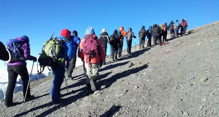 Ascension du Kilimandjaro - Route de Marangu 5 jours 4 nuits - Migration Venture Africa  3