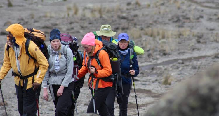 6 Days Marangu Route | Kilimanjaro Climbing - Migration Venture Africa  10