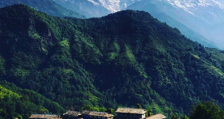 Trek au lever du soleil à Poon Hill - Nepal Climbing Adventure Pvt. Ltd. 1