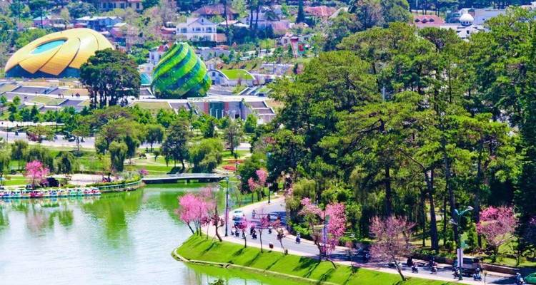 Viaje familiar al sur de Vietnam Delta del Mekong, Da Lat, Nha Trang - DNQ Travel 1