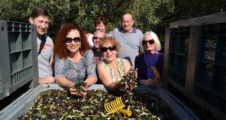 Expérience culturelle, culinaire et de récolte d'olives dans les Abruzzes - Italia Sweet Italia 1