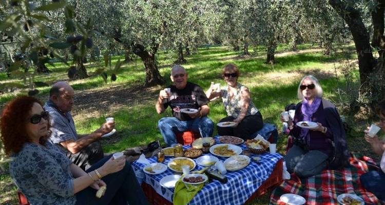 Expérience culturelle, culinaire et de récolte d'olives dans les Abruzzes - Italia Sweet Italia 4