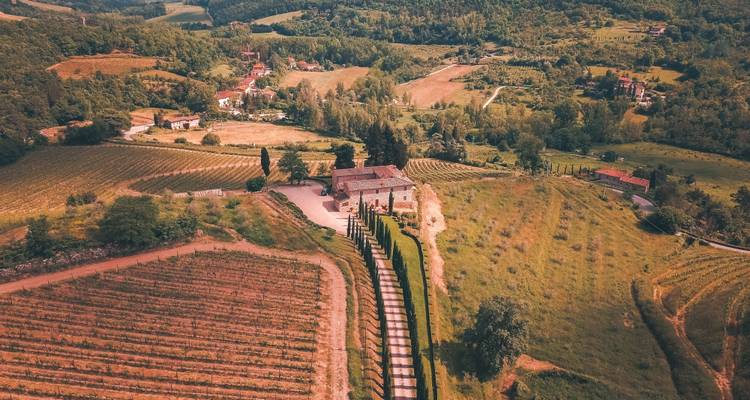 Private Gourmet Wine Tour in Tuscany, Italy - Soleto Travel 4