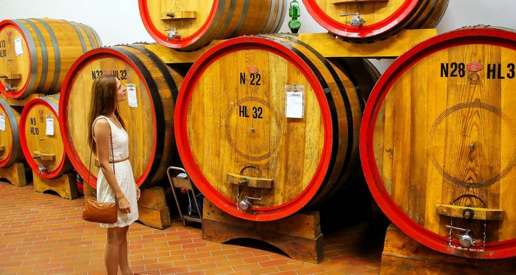 Private Gourmet Wine Tour in Tuscany, Italy - Soleto Travel 8