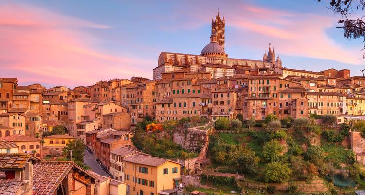 Private Gourmet Wine Tour in Tuscany, Italy - Soleto Travel 10