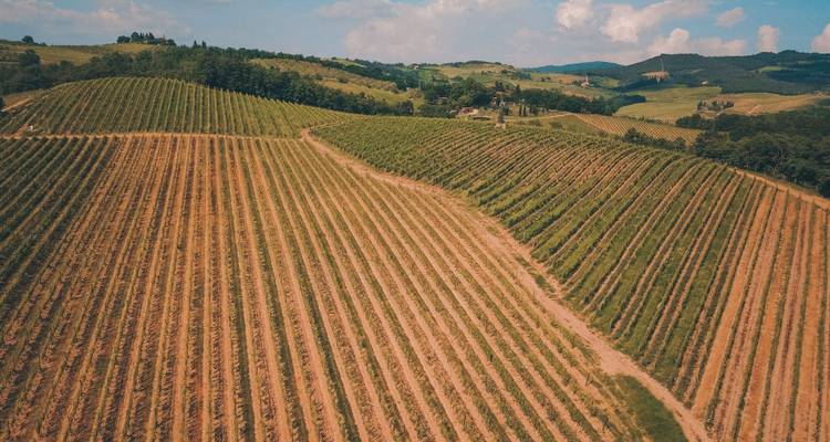 Private Gourmet Wine Tour in Tuscany, Italy - Soleto Travel 3