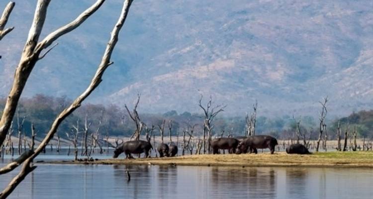 Crucero Safari por el río Zambeze - Sudáfrica, Botsuana, Namibia, Zimbabue (crucero puerto a puerto) - CroisiEurope River Cruises 7