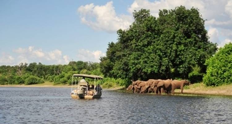 Crucero Safari por el río Zambeze - Sudáfrica, Botsuana, Namibia, Zimbabue (crucero puerto a puerto) - CroisiEurope River Cruises 9