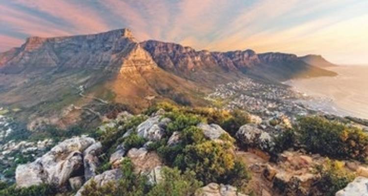 Safari Cruise along the Zambezi River - South Africa, Botswana, Namibia, Zimbabwe with extended stay at the Cape Peninsula (port-to-port cruise) (including Livingstone) - CroisiEurope River Cruises 1