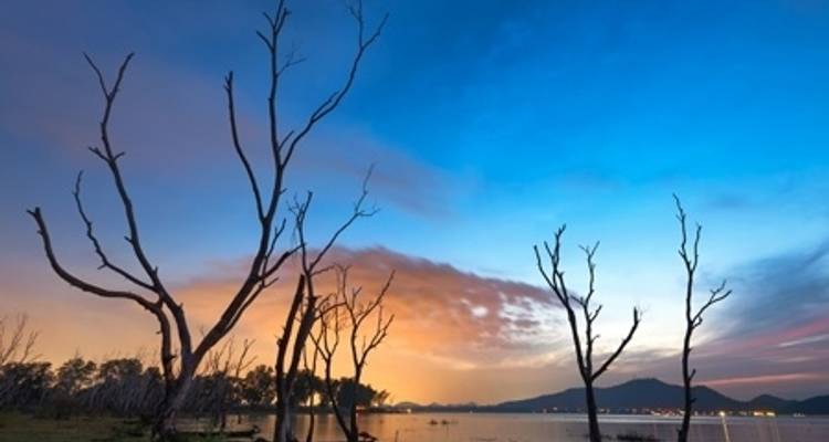Safari Cruise along the Zambezi River - South Africa, Botswana, Namibia, Zimbabwe with extended stay at the Cape Peninsula (port-to-port cruise) (including Livingstone) - CroisiEurope River Cruises 6