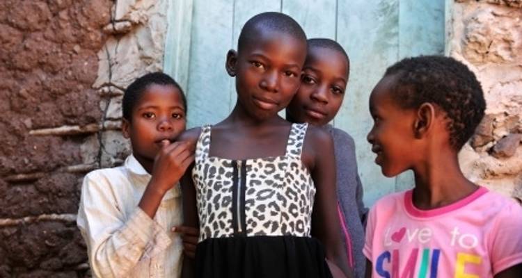 Safari Cruise along the Zambezi River - South Africa, Botswana, Namibia, Zimbabwe with extended stay at the Cape Peninsula (port-to-port cruise) (including Livingstone) - CroisiEurope River Cruises 10