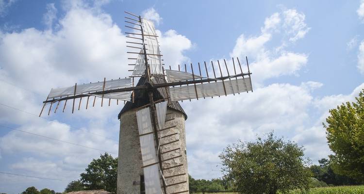 Un crucero por Aquitania: los grandes vinos del sur de Francia - crucero puerto a puerto - CroisiEurope River Cruises 7