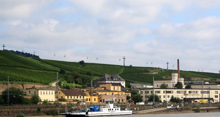 Vignoble et bâtiments le long de la rivière avec téléphériques au-dessus.