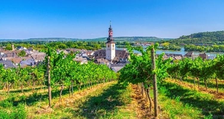 Croisière familiale : sur le Rhin romantique et au cœur de la Forêt- Noire, découvrez l'histoire et les traditions dans une atmosphère rhénane. - CroisiEurope River Cruises 10