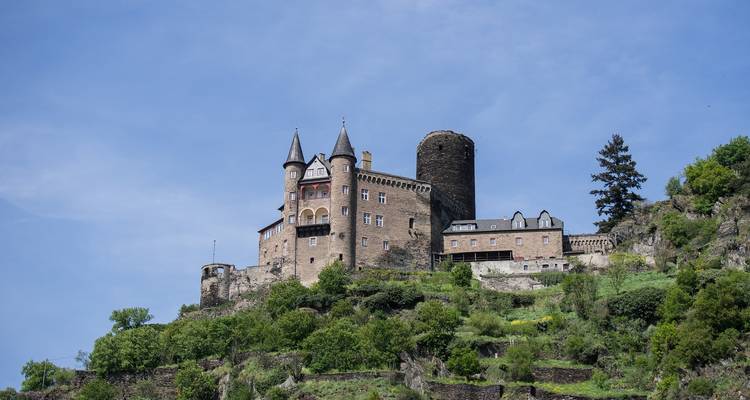 Château médiéval sur une colline avec une tour et une végétation luxuriante.