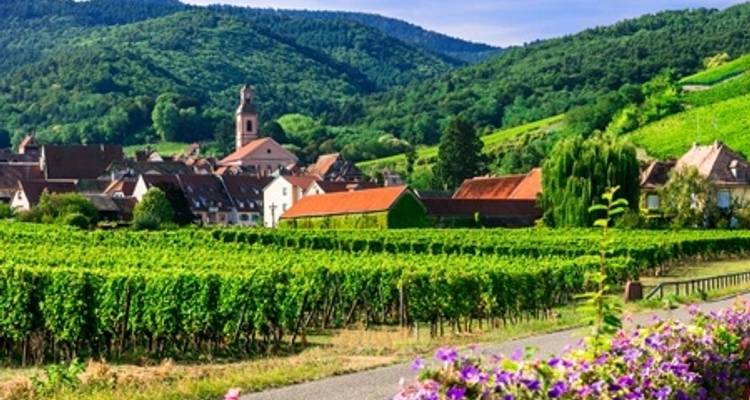 Grande croisière gastronomique sur le Rhin - croisière de port à port - CroisiEurope River Cruises 1