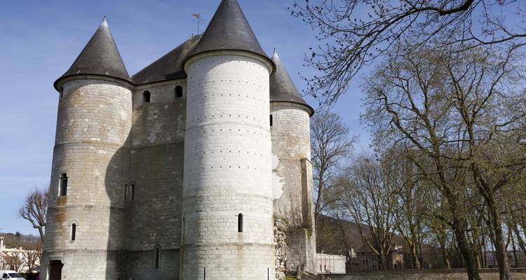 Château de pierre solide avec des créneaux ronds entouré d'un jardin.