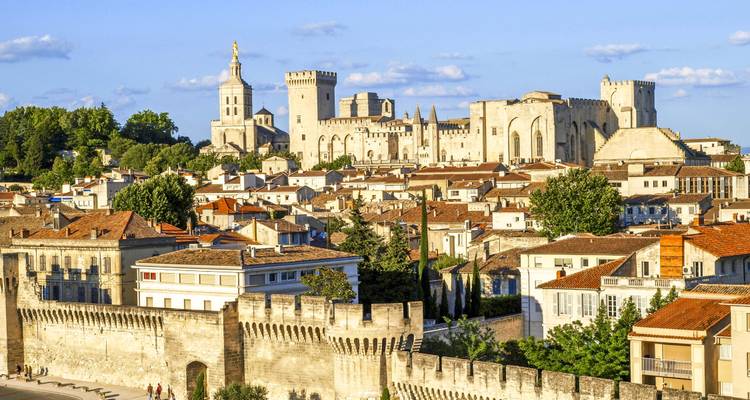 La magie du Rhône provençal et de la Camargue (croisière de port à port) (10 destinations) - CroisiEurope River Cruises 9