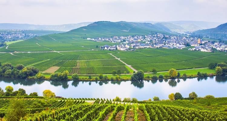 La vallée du Rhin romantique, de la Moselle et du Main - croisière de port à port - CroisiEurope River Cruises 1