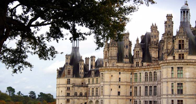 Château de Chambord avec un arbre au premier plan.