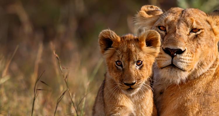 East Africa Highlights - Intrepid Travel 6